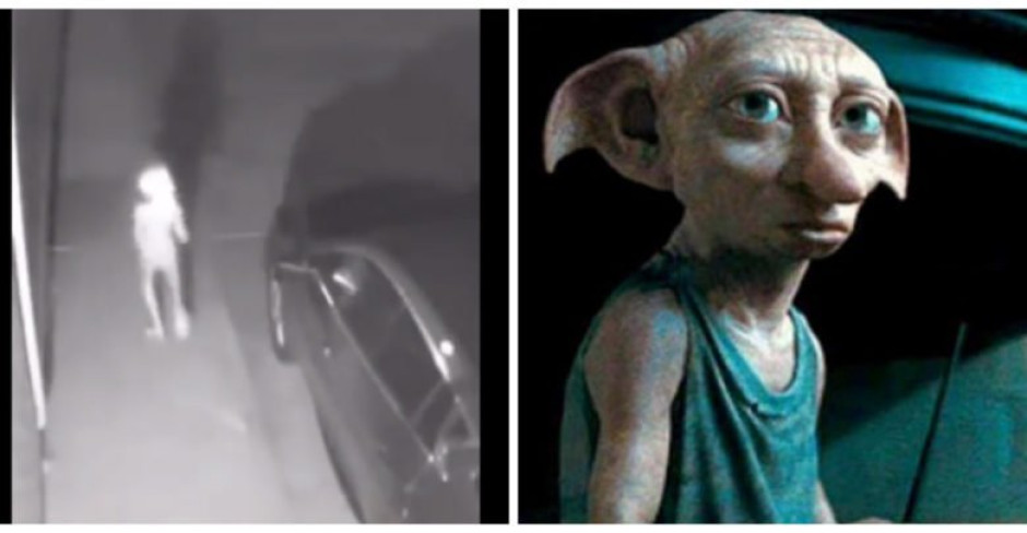 Cámara de seguridad capta a… ¿Dobby, el elfo libre?
