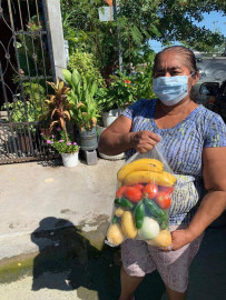 "DIF Reynosa en Tu Casa" acerca diariamente diversos servicios médicos y asistenciales hasta los hogares 