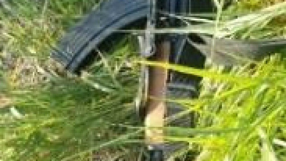 Asegura SSP 5 vehículos y un arma en Río Bravo