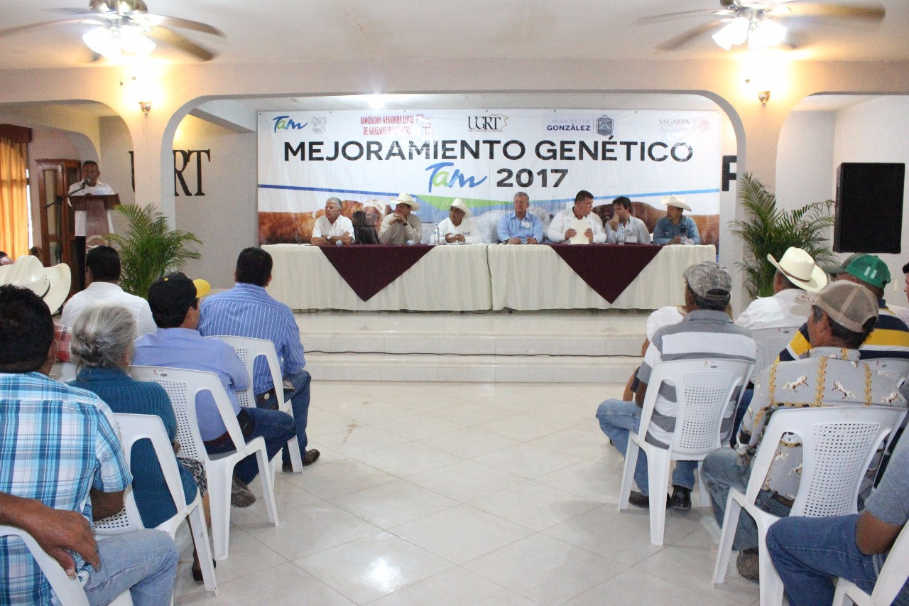 Ofrece Mejoramiento Genético Tam 2017 sementales de calidad