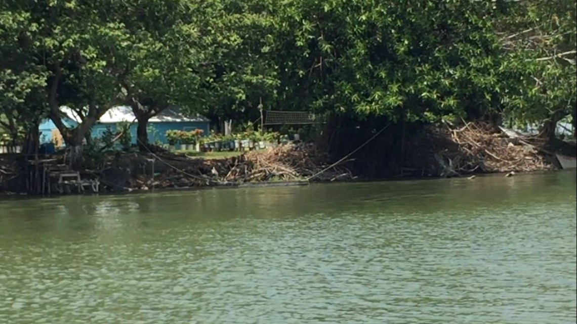 Buscan instalar granjas flotantes para producción de tilapia y otras especies