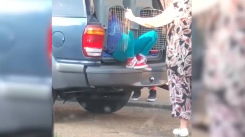 Mujer es detenida por llevar a sus nietos en transportines para perros