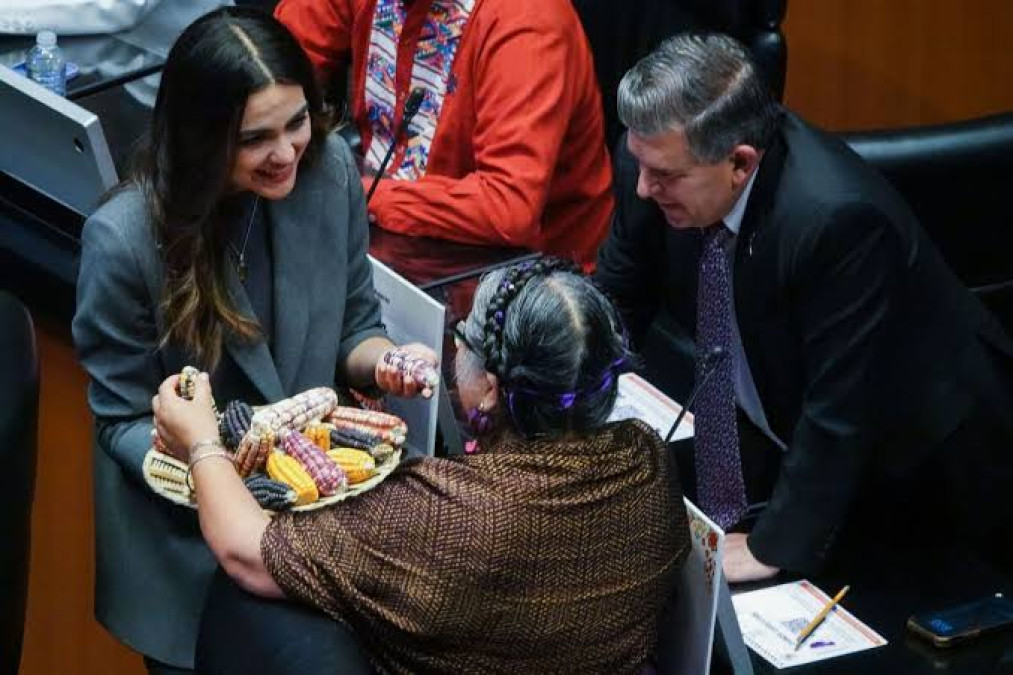 Senado aprueba reforma para prohibir maíz transgénico; pasa a Congresos Estatales 