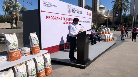 Apoyan a productores con semilla de sorgo 