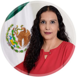 Fallece Icela Moreno, Coordinadora de la Comisión de Desarrollo Sustentable y Cambio Climático