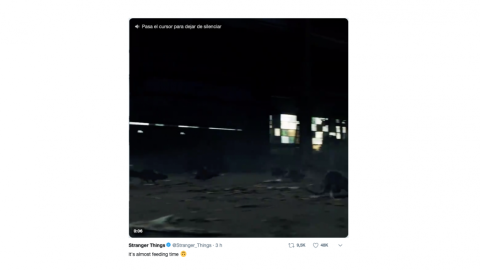 Ratas corren en el avance de la nueva temporada de 'Stranger Things'