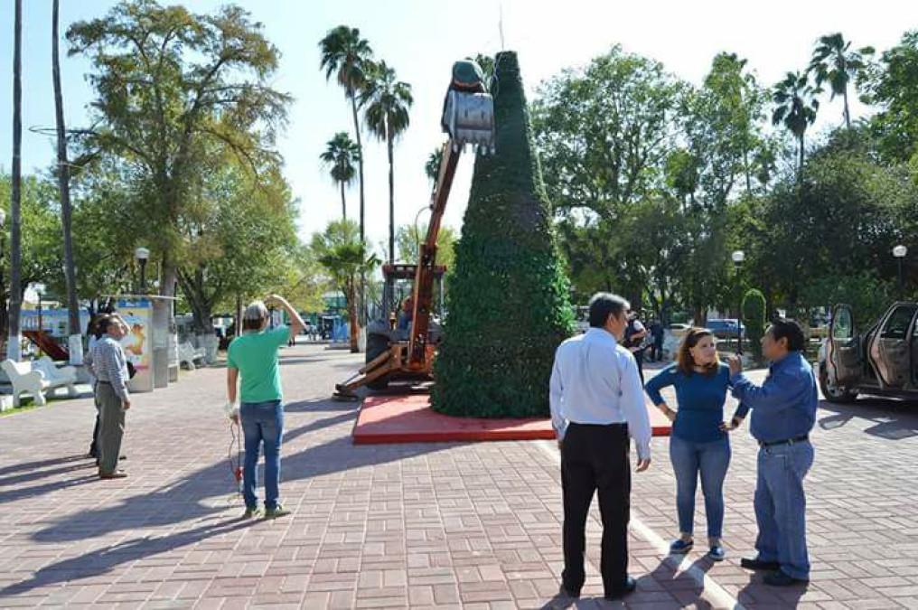 Invitan a encendido de pino navideño