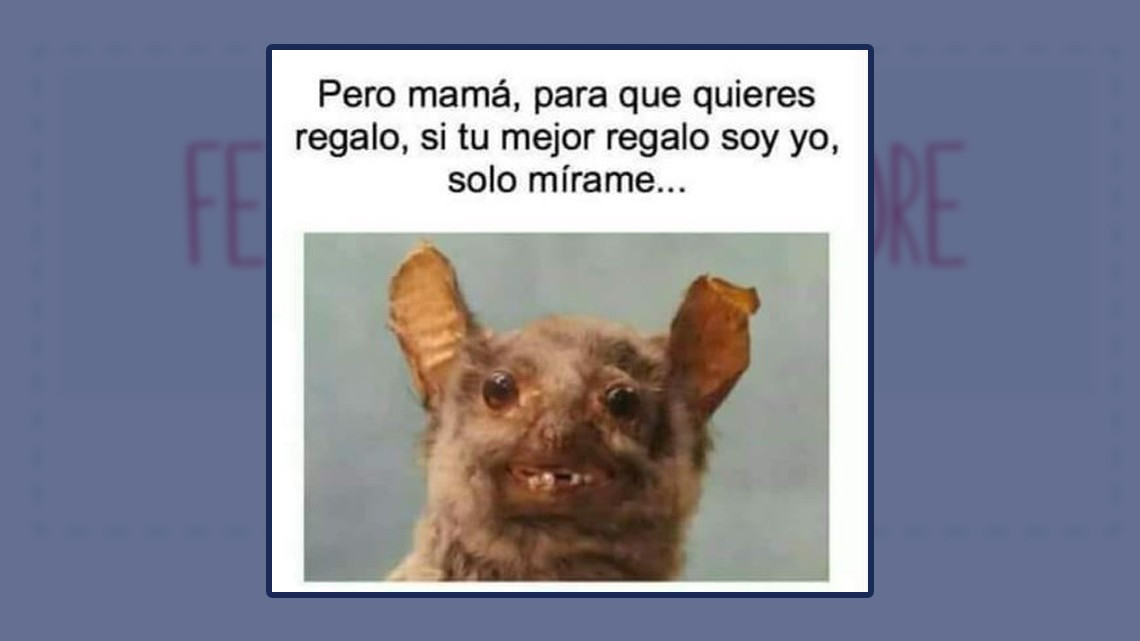 Los memes del día de las madres