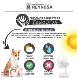 Exhortan a cuidar de altas temperaturas a animales de compañía