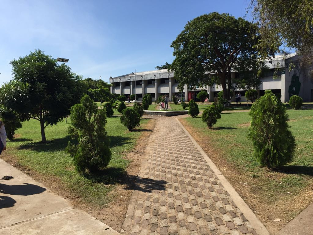 Nivel superior se actualiza frente a demanda estudiantil