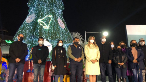 Celebran virtualmente encendido del pino 2020