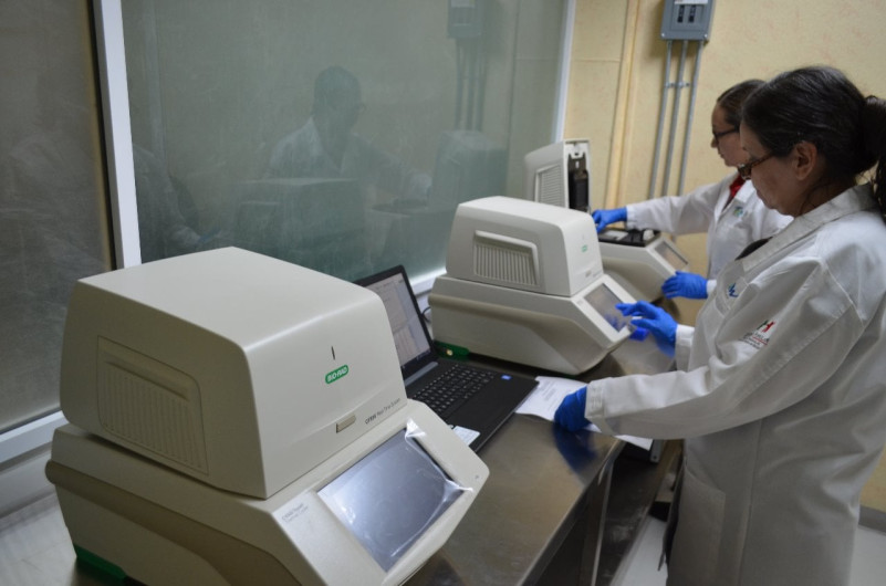 Ante frío extremo y pandemia, llama Salud a no salir si no es indispensable