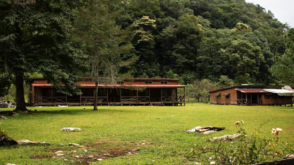 Protege Tamaulipas áreas naturales 