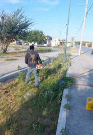 Coordinó Alcalde Carlos Peña Ortiz limpieza de plazas de Reynosa 