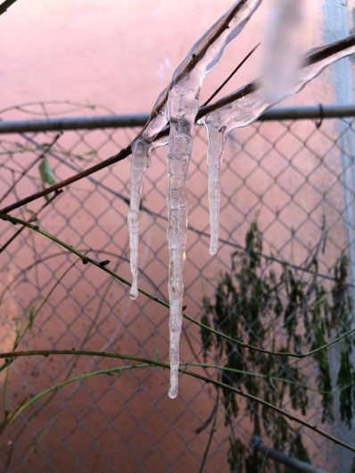 Pronostican segunda noche helada con sensación de -15 grados