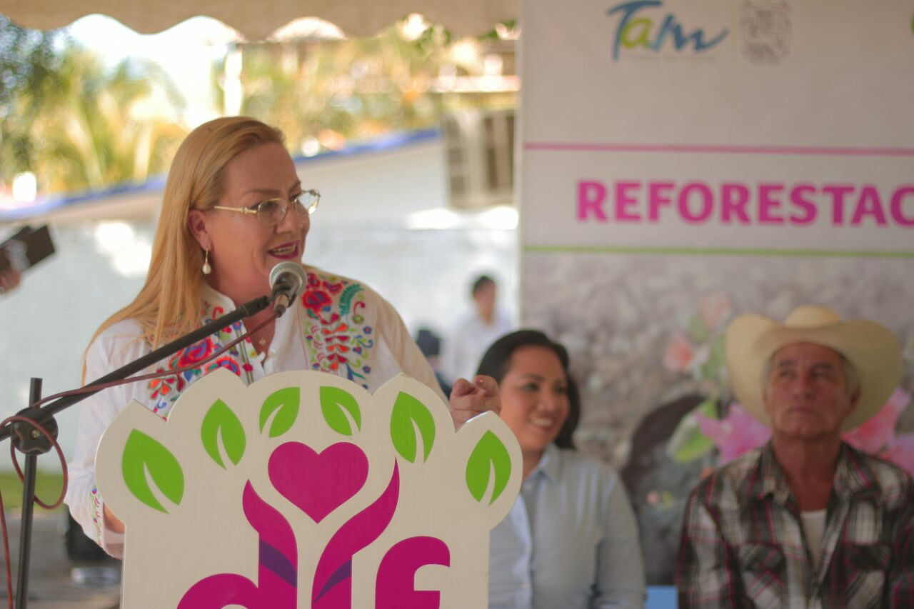 Realizan  trabajos de reforestación