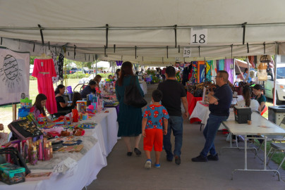 Responden ciudadanos a bazar del día de las madres organizado por la Secretaría de Bienestar Social