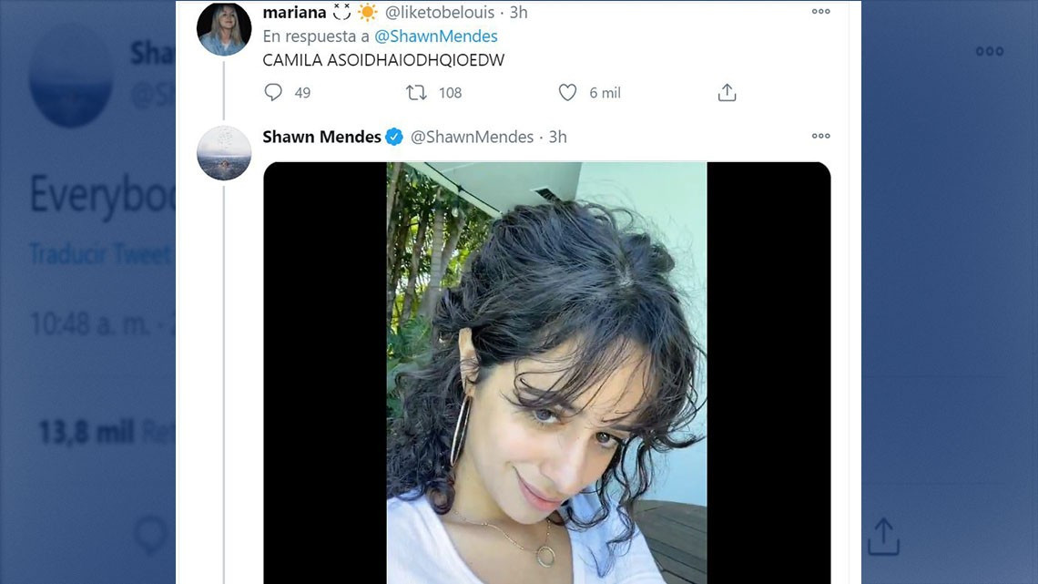 Camila Cabello entra a Twitter de Shawn Mendes y le juega broma 