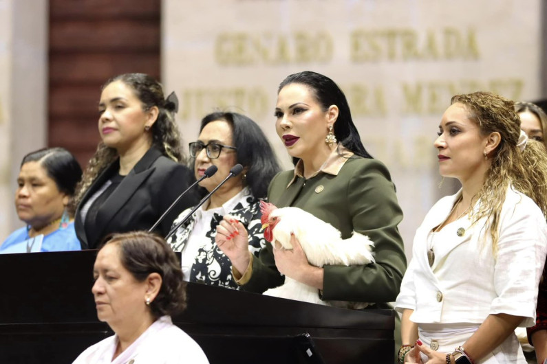 Diputados avalan reforma en materia de protección y cuidado animal