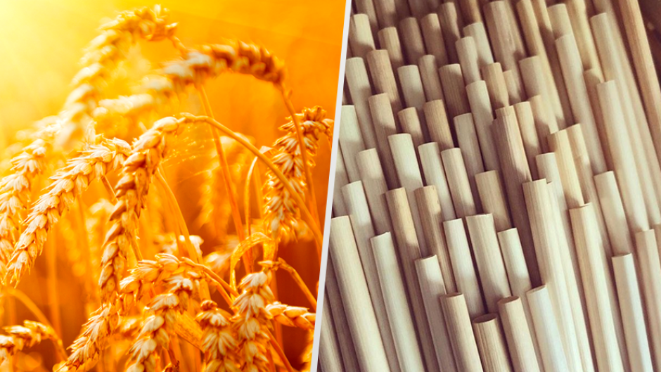 Hola popotes... ¿de trigo?