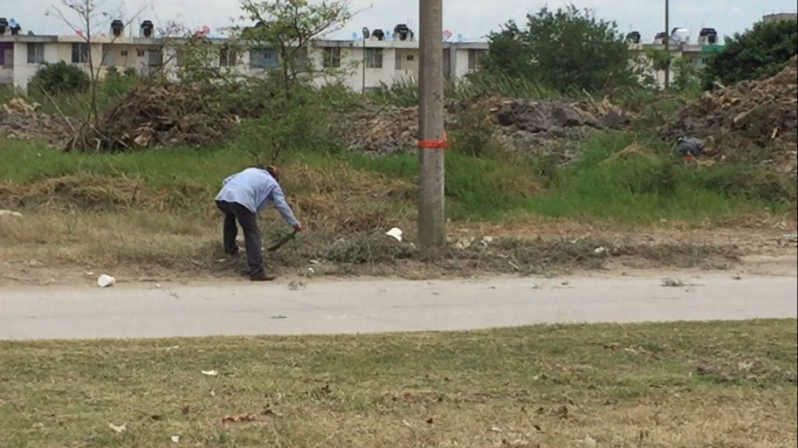 Ayuntamiento regula horarios de trabajo para evitar golpes de calor