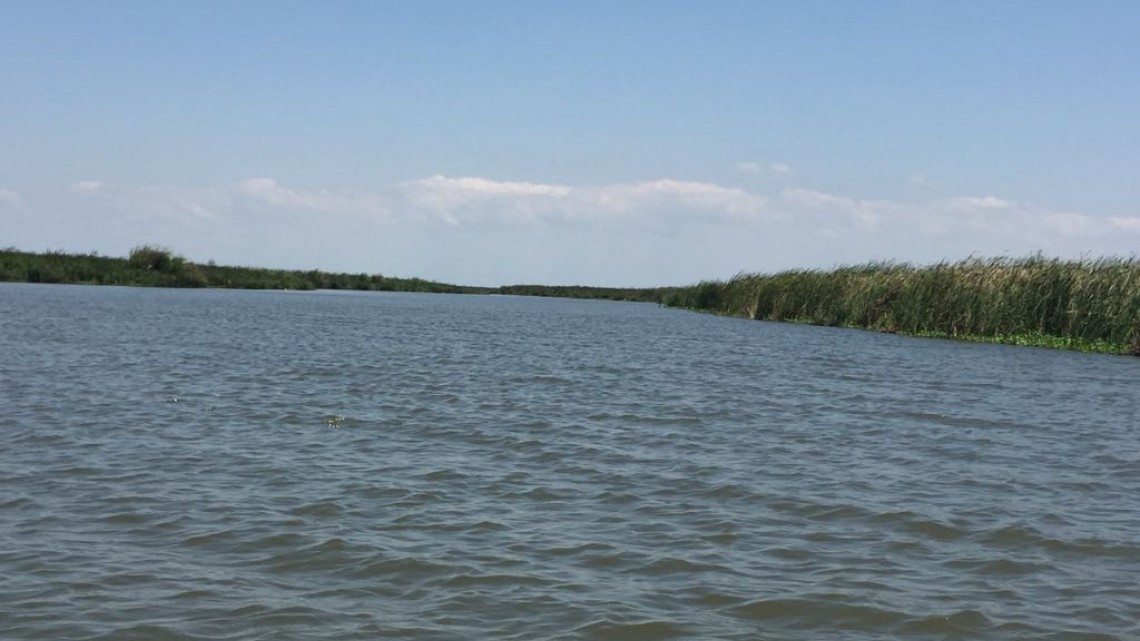 Bajos niveles de agua generan serios problemas a pescadores y habitantes del Tamesí