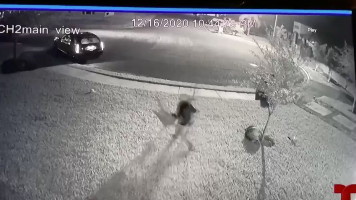 Ladrón se roba adornos navideños de una vivienda en Mission