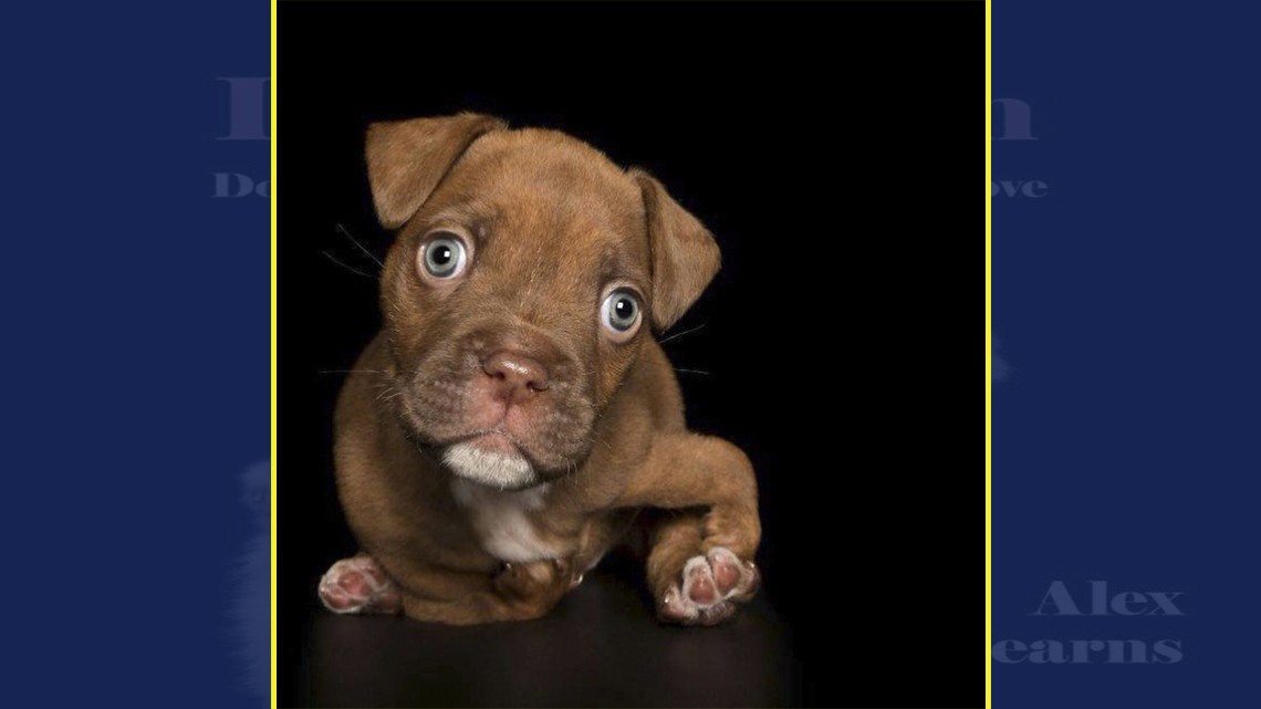 La perfección de los imperfectos