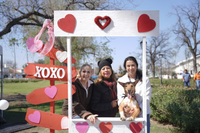 Exitosa feria de adopciones en Nuevo Laredo: 31 mascotas encuentran un hogar 
