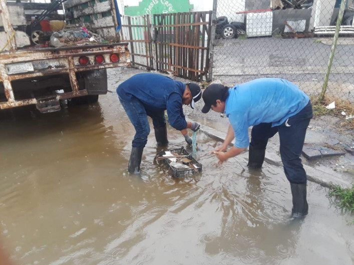Llueven en Matamoros 3 Pulgadas de Lluvia en 24 Horas y las Precipitaciones Continuarán