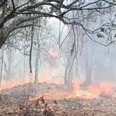 Reportan incendio en biósfera 