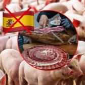 México frena importaciones de porcino español por brote de PPA