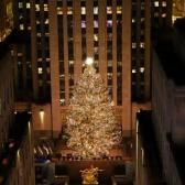 Inauguran la temporada de Navidad en NY con el encendido del tradicional árbol de Rockefeller