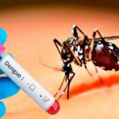 Guatemala declara emergencia nacional por epidemia de dengue 