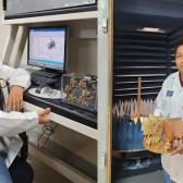 Diseña la UAT innovador sistema para la detección de tumores cerebrales