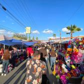 Protección Civil reporta saldo blanco  tras operativo de Día de Muertos