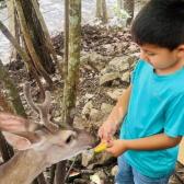 Genera Comisión de Parques guardianes de la naturaleza