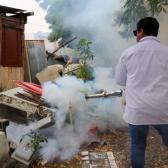 Exhorta SST a eliminar objetos inservibles para evitar el dengue