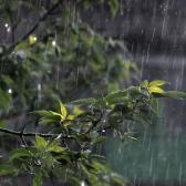 Clima en Tamaulipas: ¿Cuál es el pronóstico para este viernes 10 de octubre?