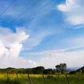 Clima en Tamaulipas: ¿Cuál es el pronóstico para este lunes 8 de diciembre?
