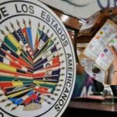 INE pacta para que OEA observe durante elecciones 