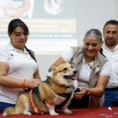 Inauguran Estado y Municipio Jornada Nacional de Vacunación Antirrábica 2023 en Reynosa