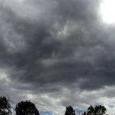 Clima en Tamaulipas: &iquest;Cu&aacute;l es el pron&oacute;stico para este viernes 19 de diciembre?