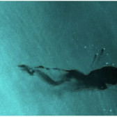 Derrame de petr&oacute;leo en mar de Campeche llegar&iacute;a a Tamaulipas