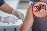 Tras aumento de casos OMS recomienda la primera vacuna contra el dengue
