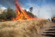 116 incendios activos en el pais, son 4 victimas hasta el momento: AMLO
