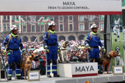 Presentan a Maya, la perrita rescatista sucesora de Frida