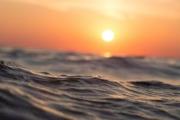 ¡Hasta el agua tiene calor! Océanos rompen record de temperaturas