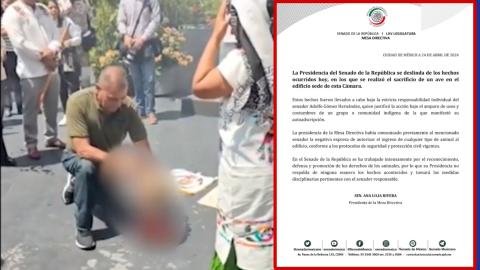 Hacen sacrificio en el Senado de la República como ofrenda a Tlaloc