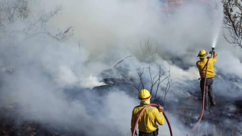 126 incendios activos en México; al menos, 26 han sido sofocados 